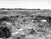 Загальний вигляд