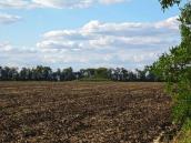 Курган № 8160