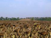 Курганный могильник № 5835