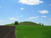 Курган № 5361