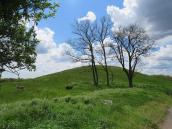 Курган № 5352