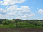 Курганний могильник № 5354