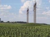 Курган № 8217