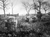 1929 р. Панорама цвинтаря