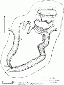 Давньоруське городище