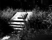 Загальний вигляд