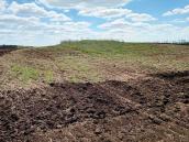 Курганний могильник “Попівські Могили”