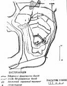 Городище Пліснеська