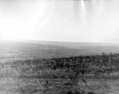 Стоянка пізньопалеолітична