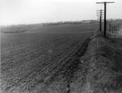 Поселення балкано-дунайської культури