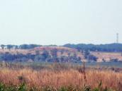 Курган Попова Могила