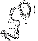 Городище Демидів Горб