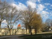 2007 р. Загальний вигляд