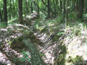 Остатки немецких окопов