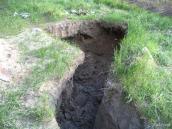 Свежие раскопы на могильнике - следы…