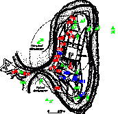 Схема розпланування Старого міста