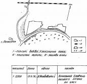 Поселення черняхівської культури