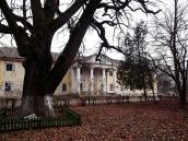 Палац Рациборовських