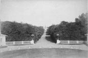 1880 р. Проспект через парк від палацу…