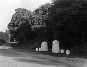 1984 р. Пілони при в’їзді до садиби