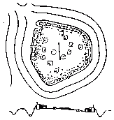 Городище Райковецьке