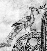 Лівий павич