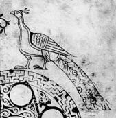 Правий павич