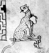 Права пантера