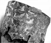 Оправа турячого рогу