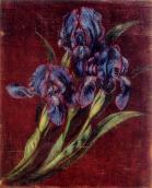 Білокур К.В. Півники