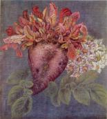 Білокур К.В. Бурячок