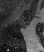 Ліва півпостать