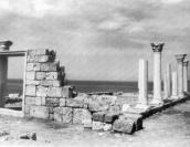 Базиліка. Загальний вигляд