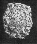 Плита з сарматськими тамгоподібними…