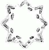 Захар’ївська фортеця