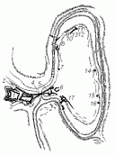 Генеральний план