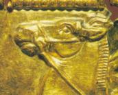 Голова коня