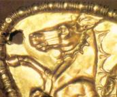 Голова гіпокампа