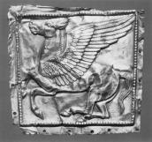 Загальний вигляд