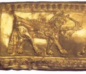 Синкретична істота 5