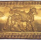 Синкретична істота 6