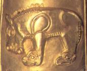 Невідома тварина