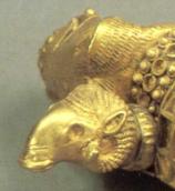 Голова барана