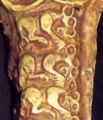 Три пантери