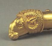 Голова барана