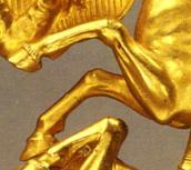 Передні ноги коня