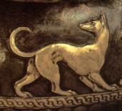 Правий звір