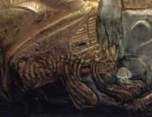 Горит лівого вождя