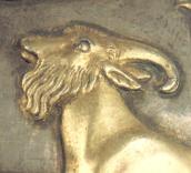 Голова козла