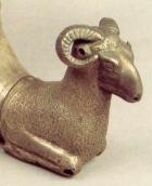 Голова барана